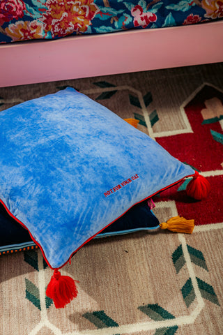 Pillow Case (Not For Your Cat)