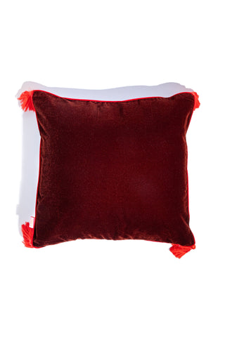 Pillow Case (Not For Your Cat)