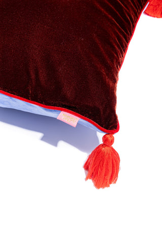 Pillow Case (Not For Your Cat)