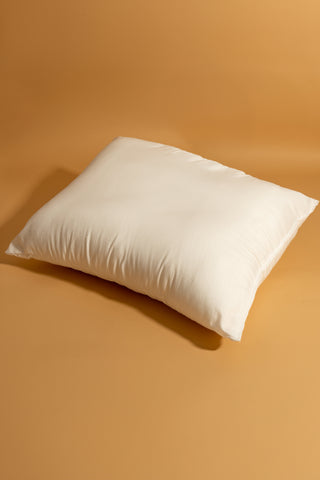 Pillow Insert (33x55)