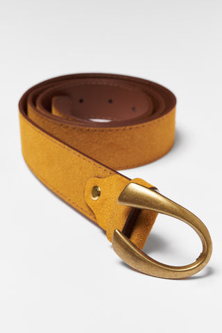 Abed Belt