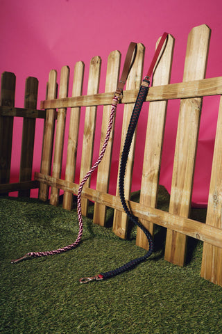 Éclair Leash