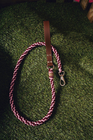 Éclair Leash