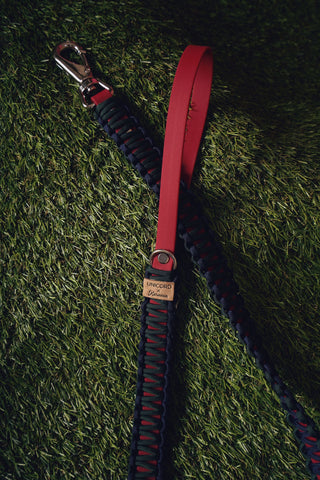 Serenata Leash