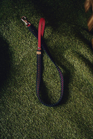 Serenata Leash