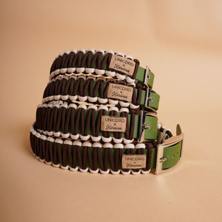 Mushu Dog Collar